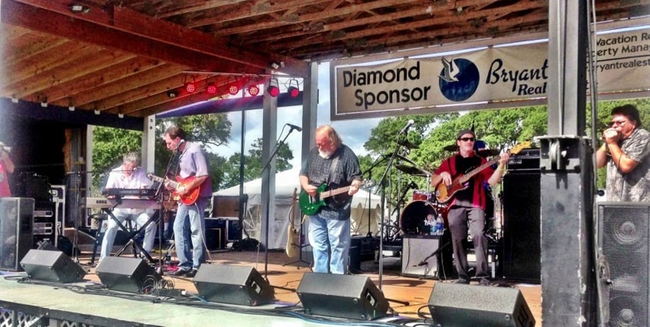 Gallery photo 2 of Fatty Lumpkin & The Love Hogs