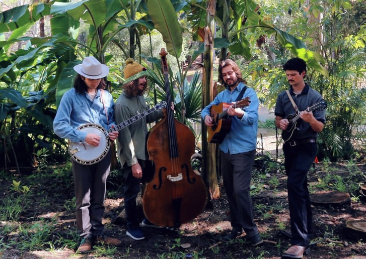 Gallery photo 1 of Faultliner Bluegrass Band