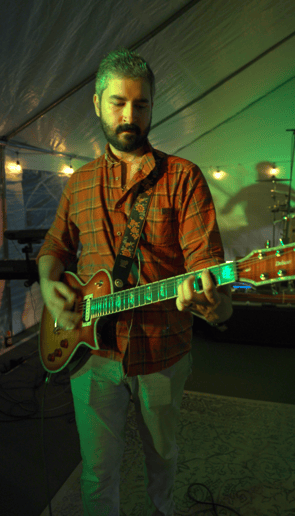 Gallery photo 5 of Faux Ficus Band