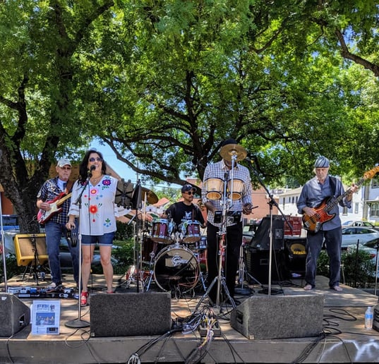 Gallery photo 3 of FBI Band