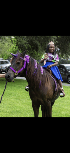 Gallery photo 3 of SonShine Pony Parties