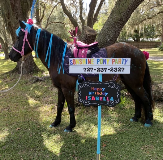 Gallery photo 4 of SonShine Pony Parties