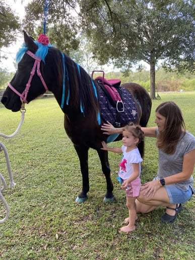 Gallery photo 6 of SonShine Pony Parties