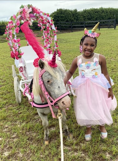 Gallery photo 7 of SonShine Pony Parties