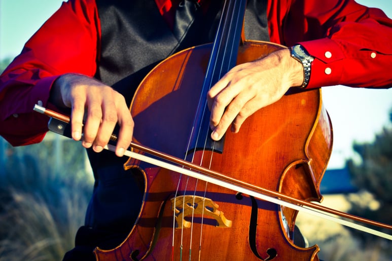 Gallery photo 5 of Fellow Cello Studios