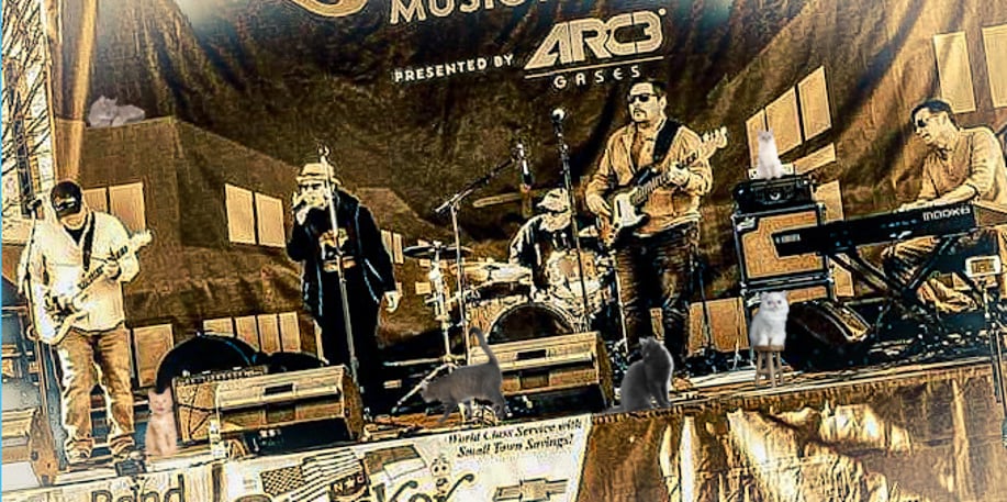 Gallery photo 3 of Feral Cats Band