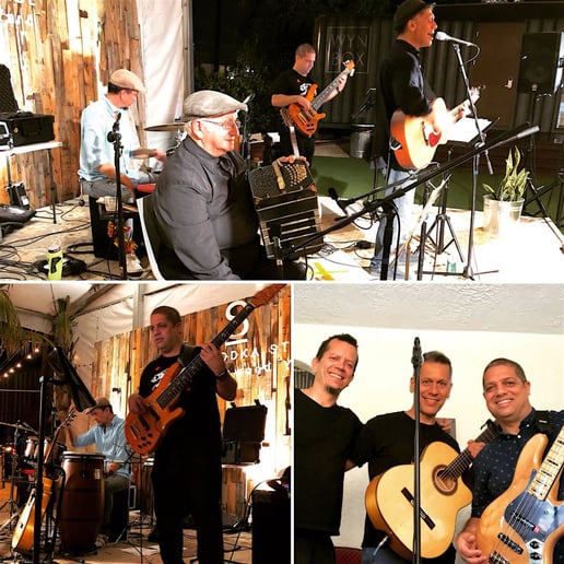 Gallery photo 6 of Ferra & the Tango Cats