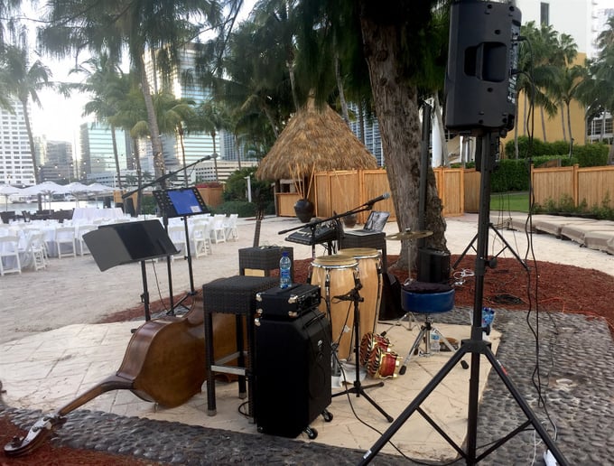 Gallery photo 8 of Ferra & the Tango Cats