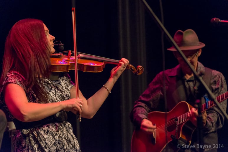 Gallery photo 6 of Fiddle & Frets
