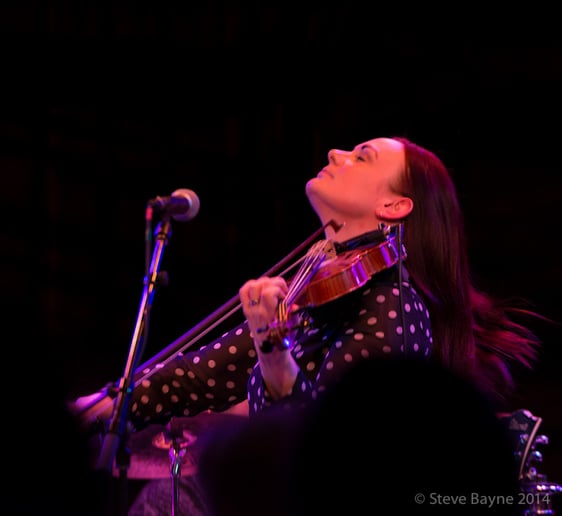 Gallery photo 8 of Fiddle & Frets