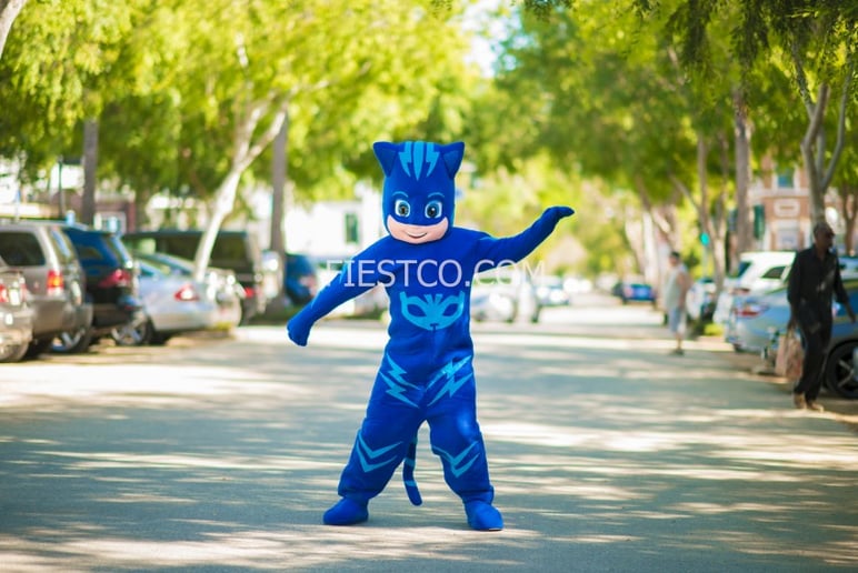 Gallery photo 10 of Fiestco