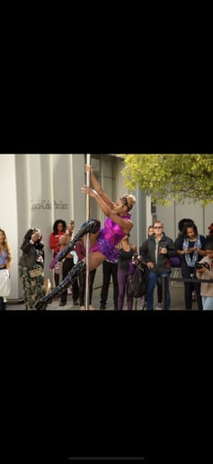 Gallery photo 6 of Finesse Aerial Entertainment