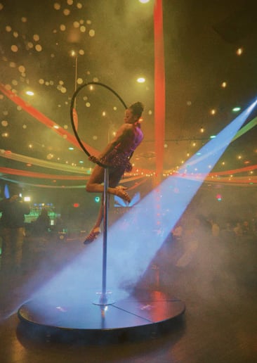 Gallery photo 2 of Finesse Aerial Entertainment