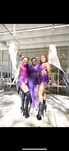 Gallery photo 9 of Finesse Aerial Entertainment