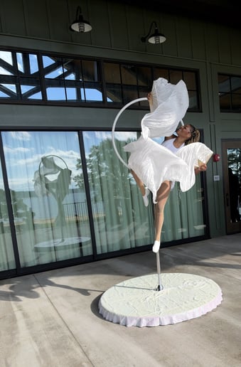 Gallery photo 1 of Finesse Aerial Entertainment