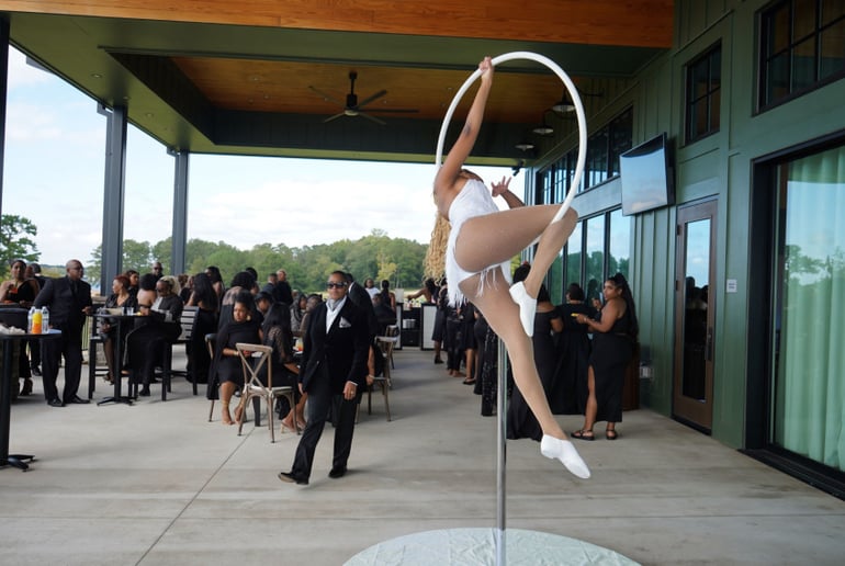 Gallery photo 2 of Finesse Aerial Entertainment