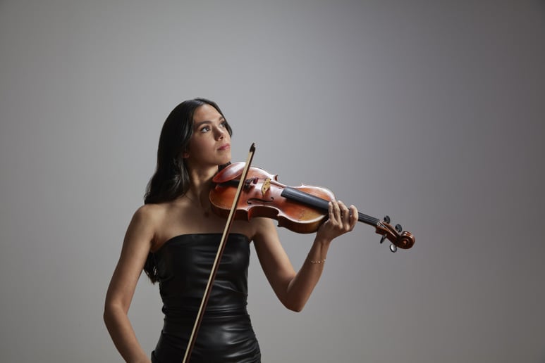 Gallery photo 2 of Shejeru Violin