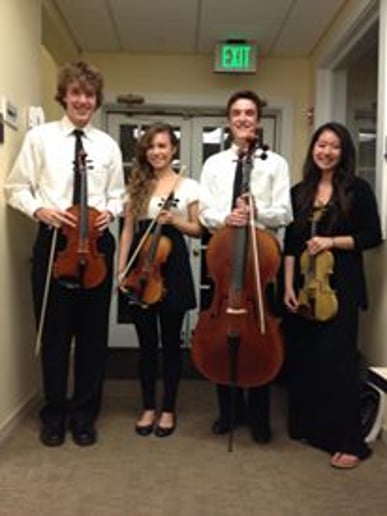 Gallery photo 6 of Seiber Strings