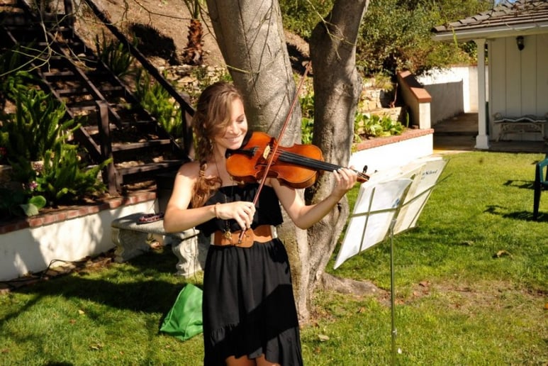 Gallery photo 1 of Seiber Strings