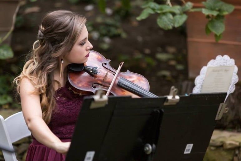 Gallery photo 3 of Seiber Strings