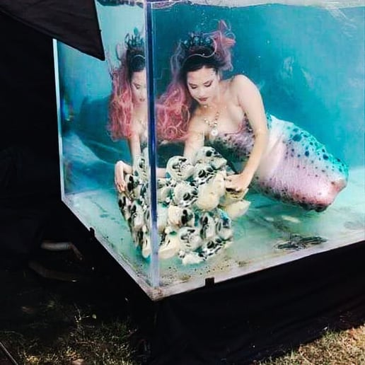 Gallery photo 8 of Helena the Mermaid