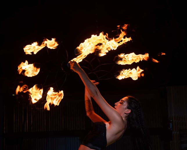 Gallery photo 1 of Alexxa's Fire & Aerial Show