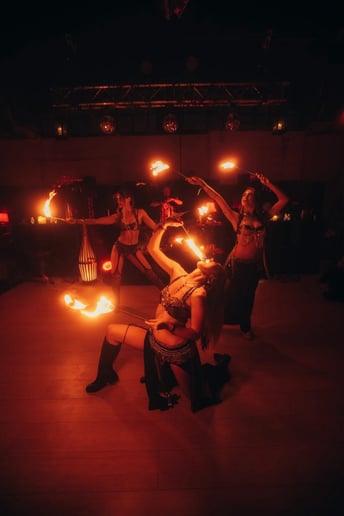 Gallery photo 2 of Alexxa's Fire & Aerial Show