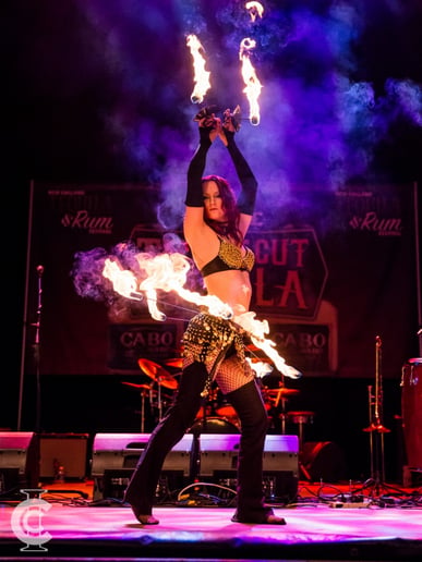 Gallery photo 61 of Fire Gypsy Productions - Fire and Circus Arts