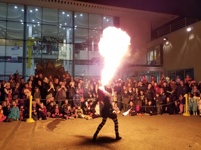 Gallery photo 18 of Fire Gypsy Productions - Fire and Circus Arts