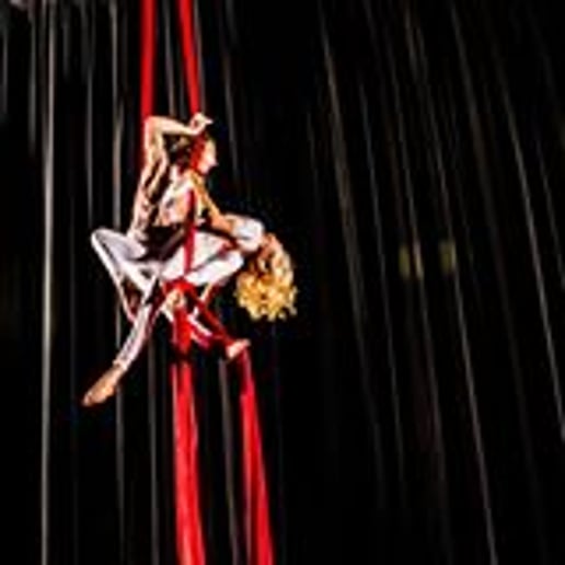 Gallery photo 2 of Fire Muse Circus