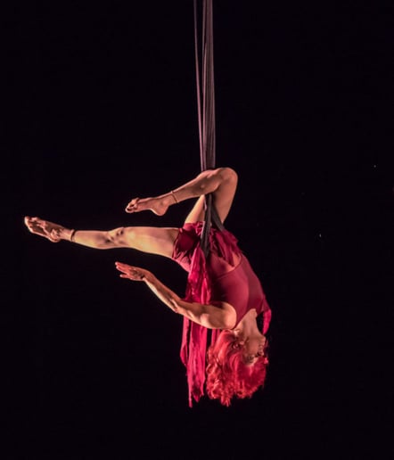 Gallery photo 7 of Fire Muse Circus