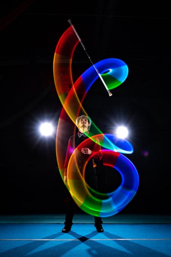 Gallery photo 2 of Fire Ninja Entertainment