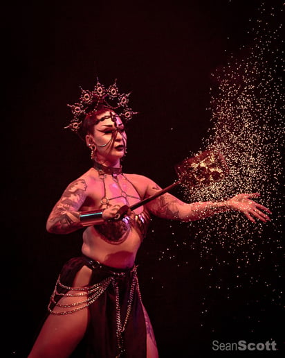 Gallery photo 10 of Fire Performance Art