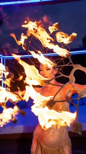 Gallery photo 4 of Tiger Fire Entertainment
