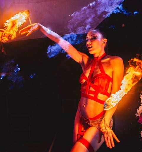 Gallery photo 6 of Tiger Fire Entertainment