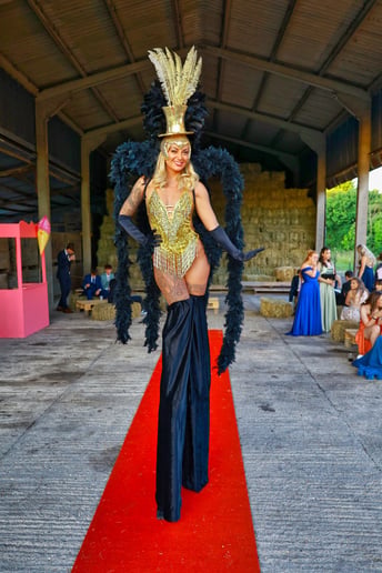 Gallery photo 10 of Fire Performer, Emme