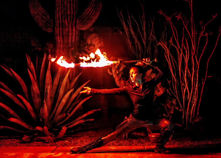 Gallery photo 1 of Fire Show