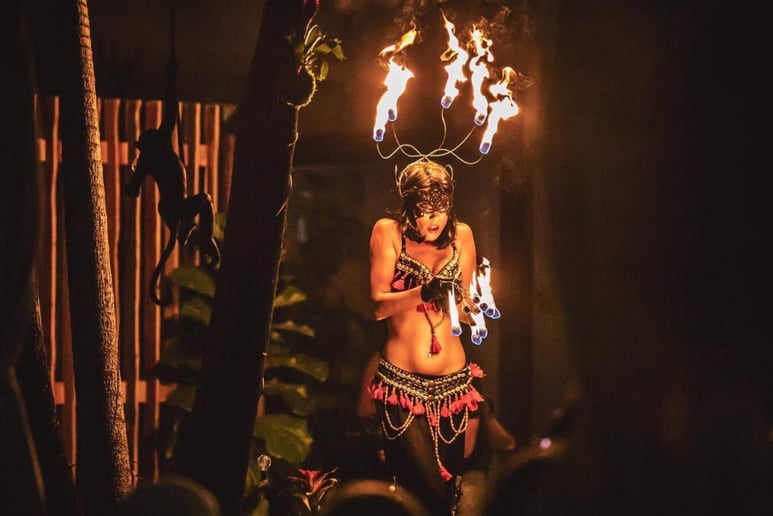 Gallery photo 8 of Fire Show, LED Wings Show, Fire Fans