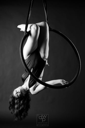 Gallery photo 2 of Firebird Moving Arts