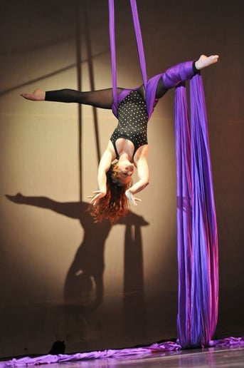Gallery photo 1 of Firebird Moving Arts