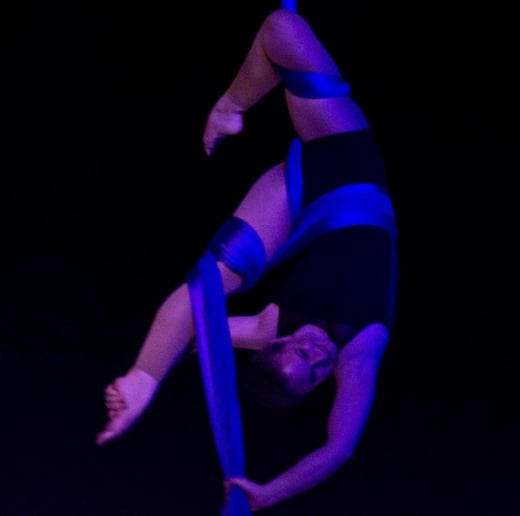 Gallery photo 7 of Firebird Moving Arts