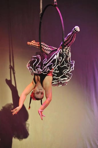 Gallery photo 6 of Firebird Moving Arts