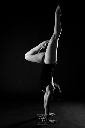 Gallery photo 10 of Firebird Moving Arts