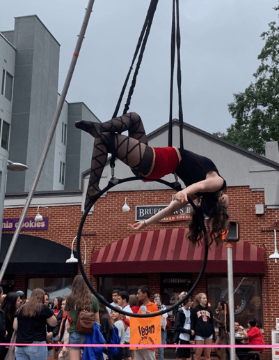 Gallery photo 8 of Firefly Circus