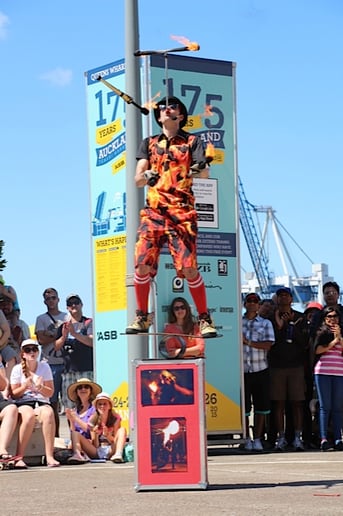 Gallery photo 4 of FireGuy