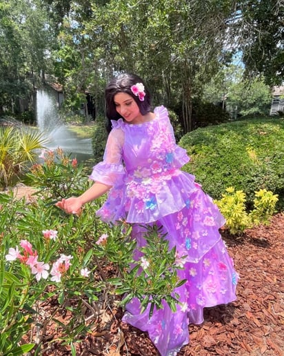 Gallery photo 7 of North Florida Fairytales