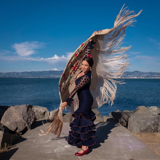Gallery photo 1 of Bianca's Flamenco Dance & Ambiance