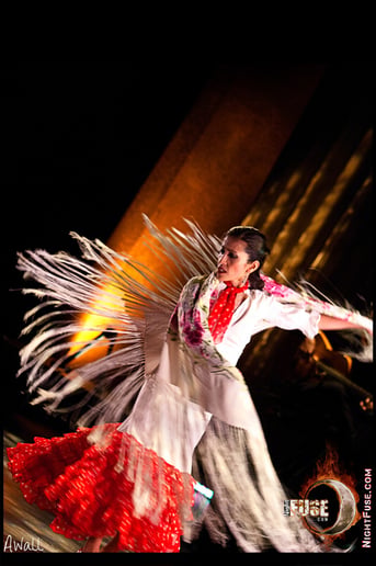Gallery photo 3 of Flamenco Dance Phoenix