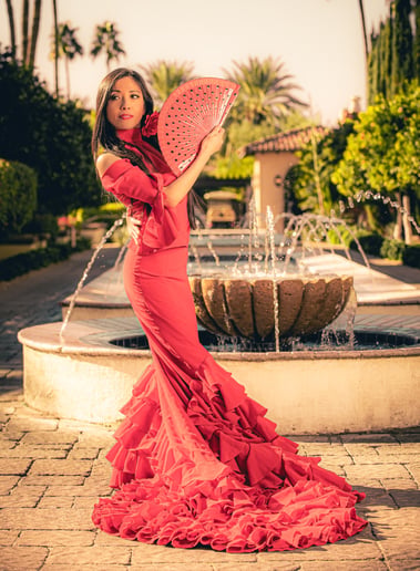 Gallery photo 1 of Flamenco Dance Phoenix