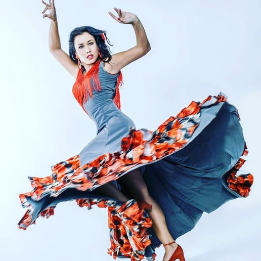Gallery photo 2 of Flamenco Express